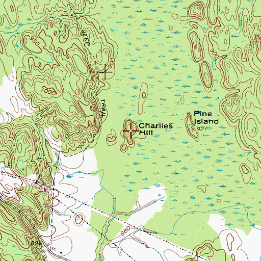 Topographic Map of Charlies Hill, NY