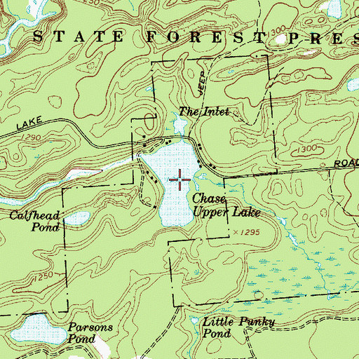 Topographic Map of Chase Upper Lake, NY