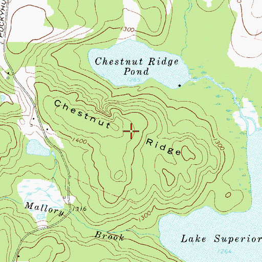 Topographic Map of Chestnut Ridge, NY