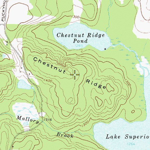 Topographic Map of Chestnut Ridge, NY