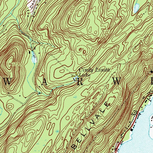 Topographic Map of Cindy Linda Lake, NY