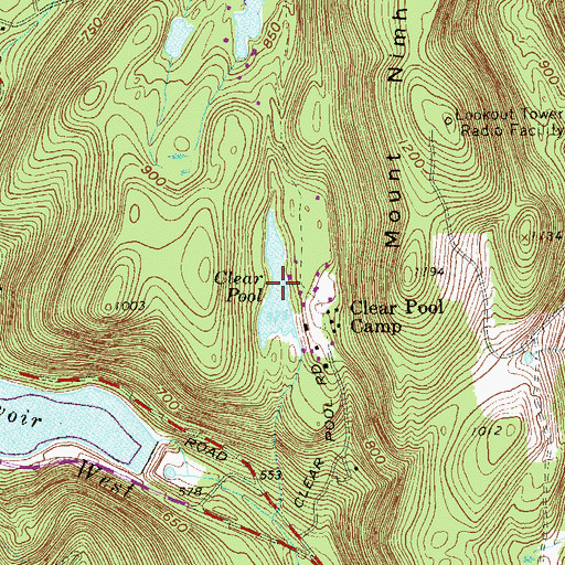 Topographic Map of Clear Pool, NY