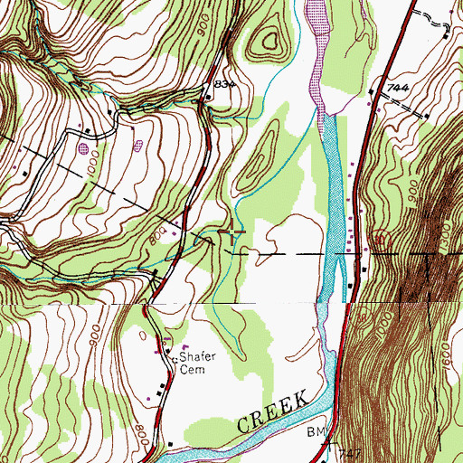Topographic Map of Cole Hollow, NY