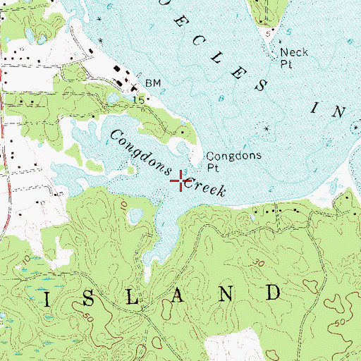 Topographic Map of Congdons Creek, NY