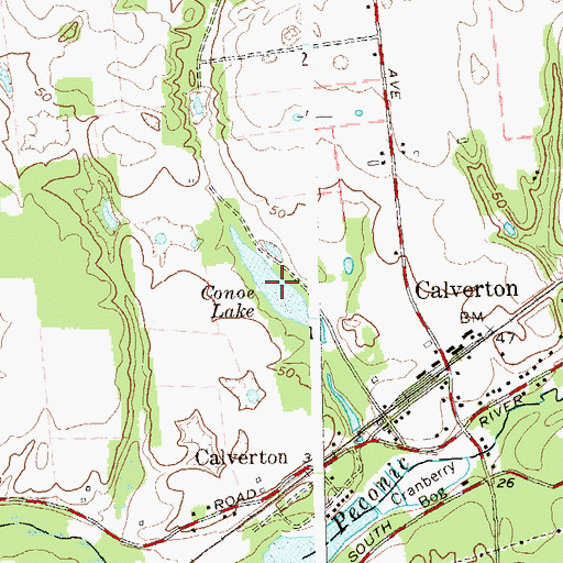 Topographic Map of Conoe Lake, NY