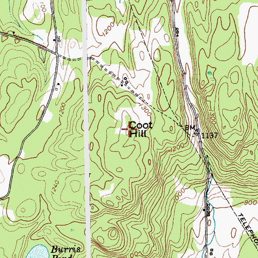 Topographic Map of Coot Hill, NY