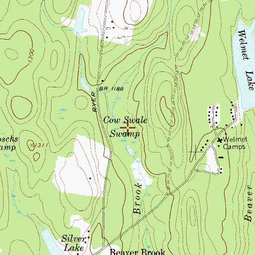 Topographic Map of Cow Swale Swamp, NY