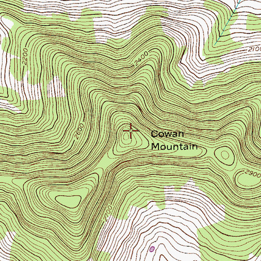 Topographic Map of Cowan Mountain, NY