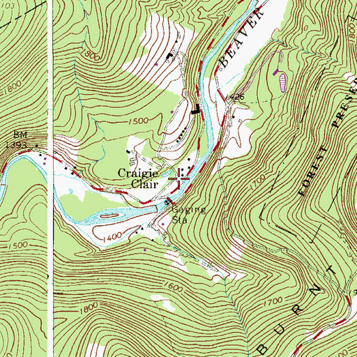 Topographic Map of Craigie Clair, NY