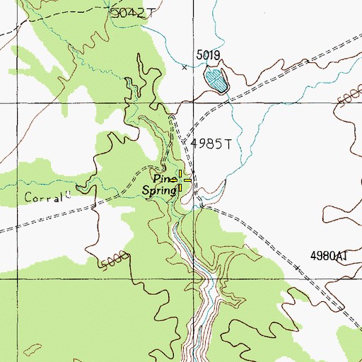 Topographic Map of Pine Spring, AZ