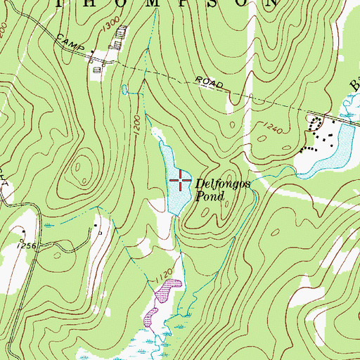 Topographic Map of Delfongos Pond, NY