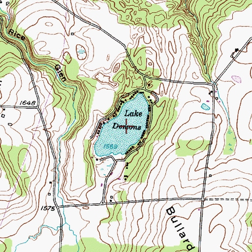 Topographic Map of Lake Demons, NY