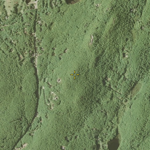 Aerial/Satellite Image of Denning Hill, NY
