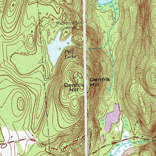 Topographic Map of Dennis Hill, NY