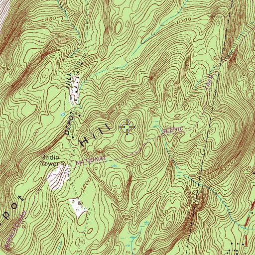 Topographic Map of Depot Hill, NY