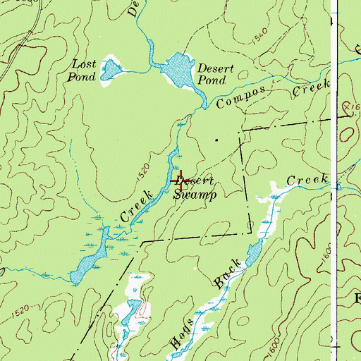 Topographic Map of Desert Swamp, NY