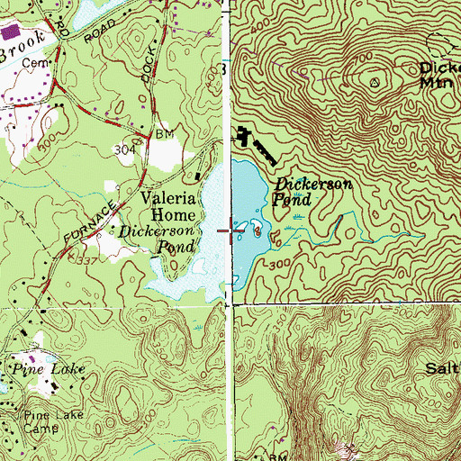 Topographic Map of Dickerson Pond, NY