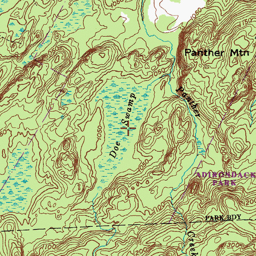 Topographic Map of Doe Swamp, NY
