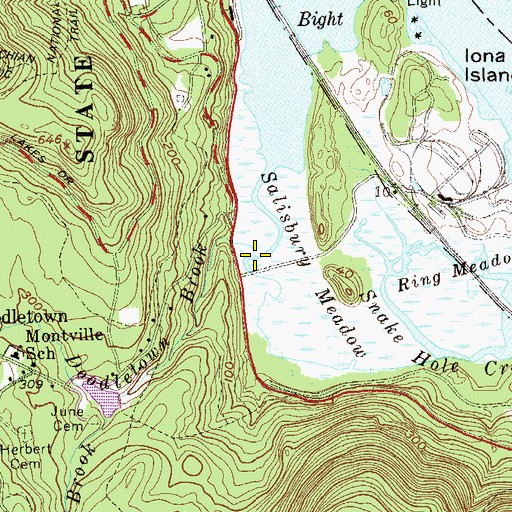 Topographic Map of Doodletown Brook, NY