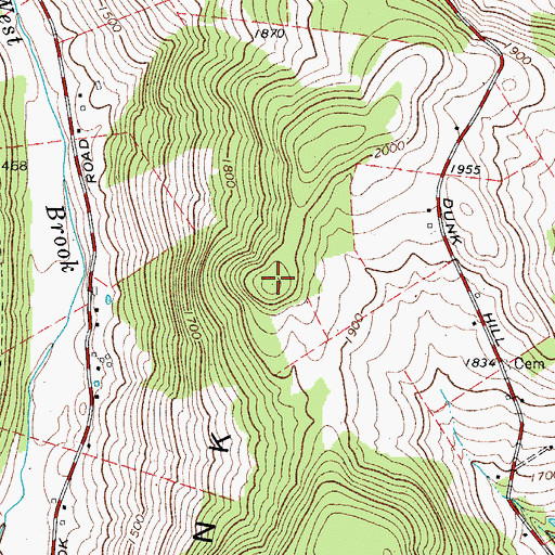 Topographic Map of Dunk Hill, NY