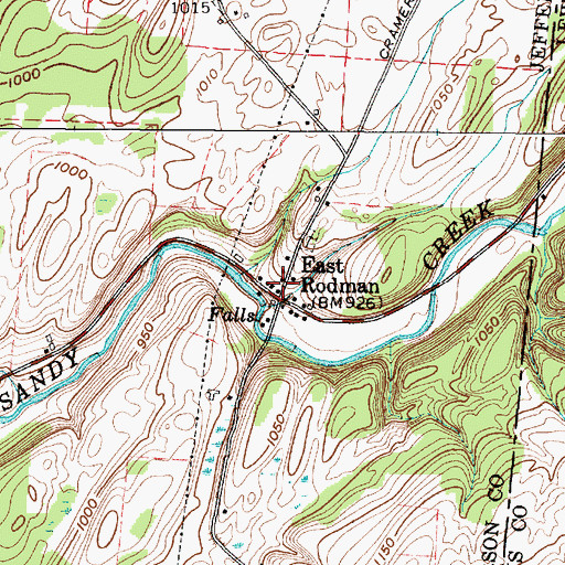 Topographic Map of East Rodman, NY