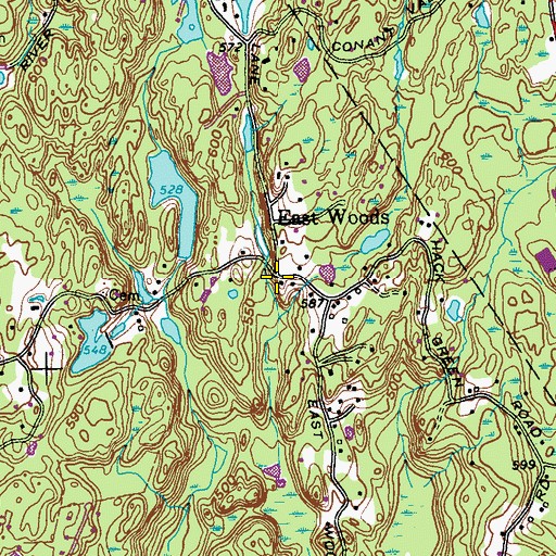 Topographic Map of East Woods, NY