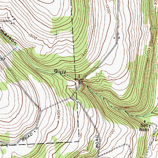 Topographic Map of Emerson Gulf, NY