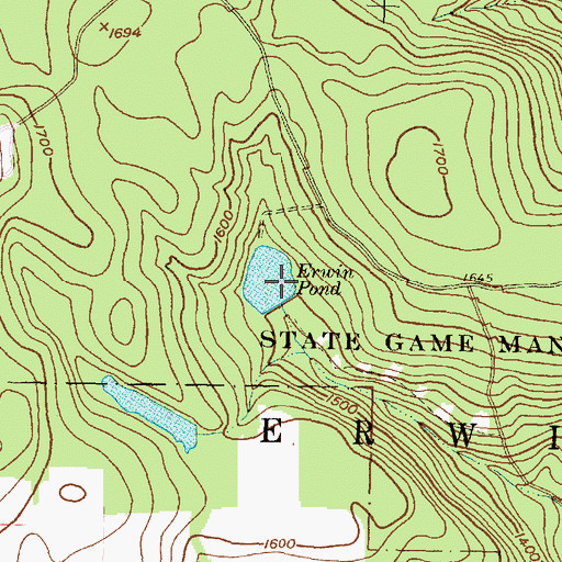 Topographic Map of Erwin Pond, NY