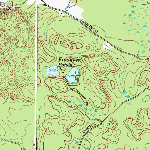 Topographic Map of Faulkner Ponds, NY