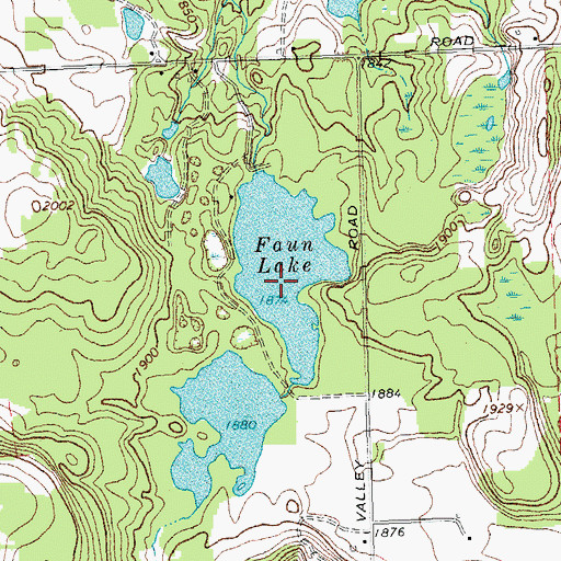 Topographic Map of Faun Lake, NY