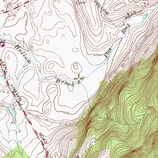 Topographic Map of Flat Rock Brook, NY