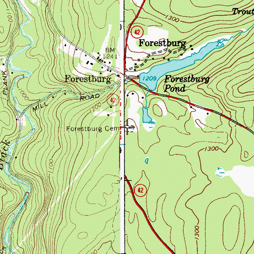 Topographic Map of Forestburg Cemetery, NY
