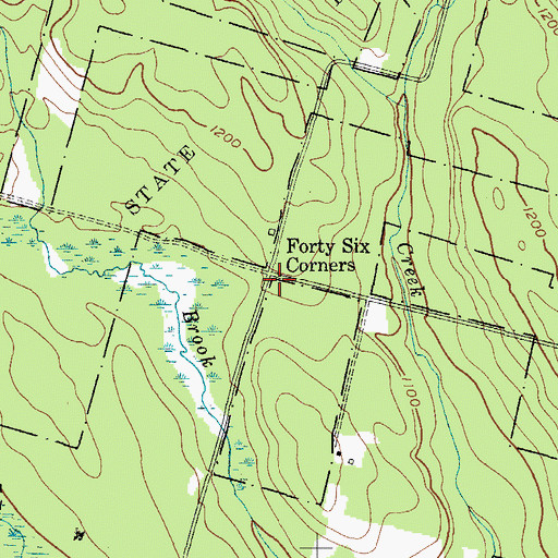 Topographic Map of Forty Six Corners, NY