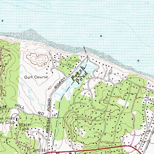 Topographic Map of Fresh Pond, NY
