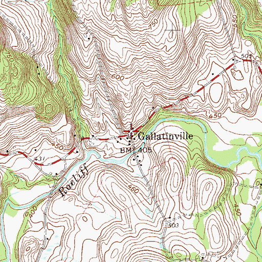 Topographic Map of Gallatinville, NY