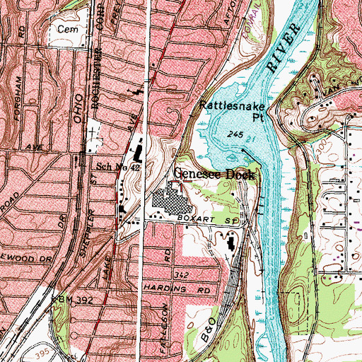 Topographic Map of Genesee Dock, NY