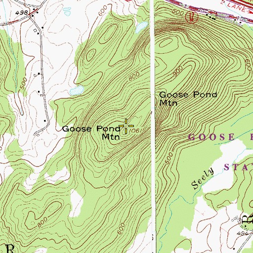 Topographic Map of Goose Pond Mountain, NY
