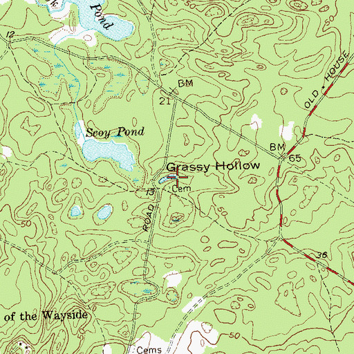 Topographic Map of Grassy Hollow, NY
