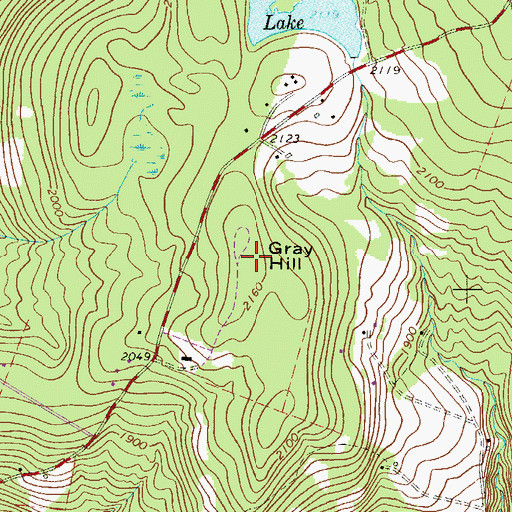 Topographic Map of Gray Hill, NY