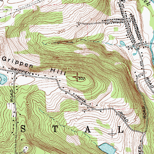 Topographic Map of Grippen Hill, NY