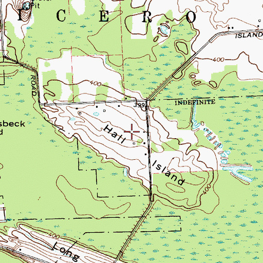 Topographic Map of Hall Island, NY