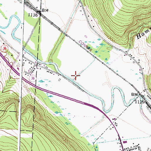 Topographic Map of Hammer Creek, NY