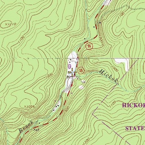 Topographic Map of Hickok Brook, NY