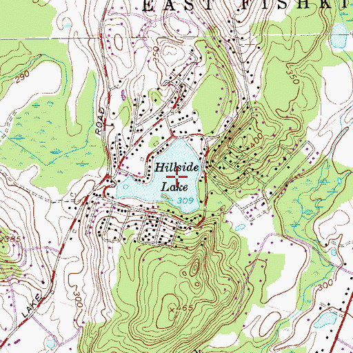 Topographic Map of Hillside Lake, NY