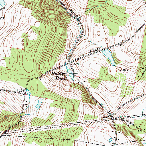 Topographic Map of Holden Pond, NY
