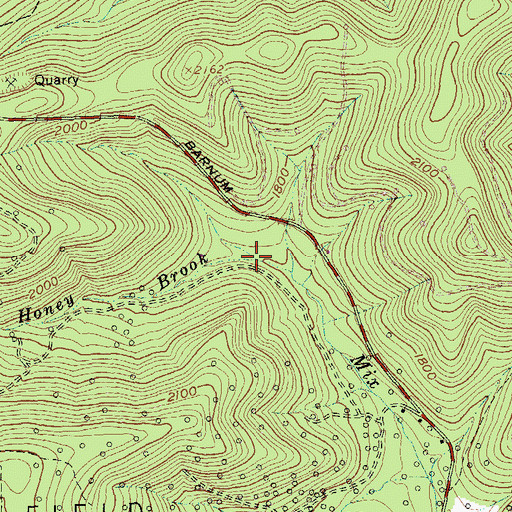 Topographic Map of Honey Brook, NY