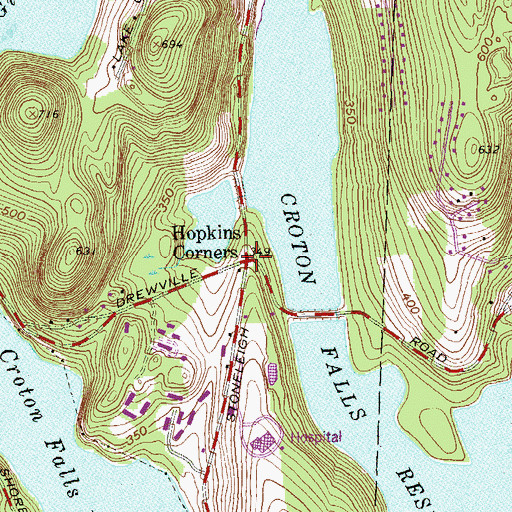 Topographic Map of Hopkins Corners, NY