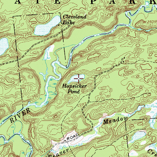Topographic Map of Hopsicker Pond, NY