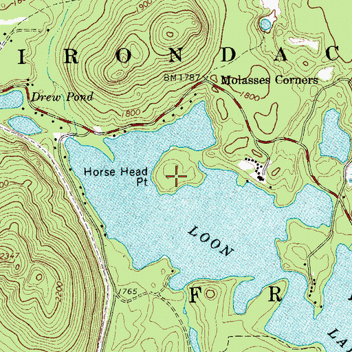 Topographic Map of Horse Head Point, NY