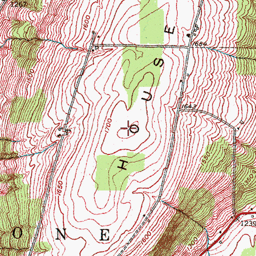 Topographic Map of House Hill, NY